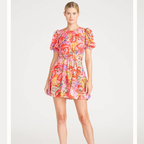 AMUR Cutout Dress - NWT - Picture 2 of 8